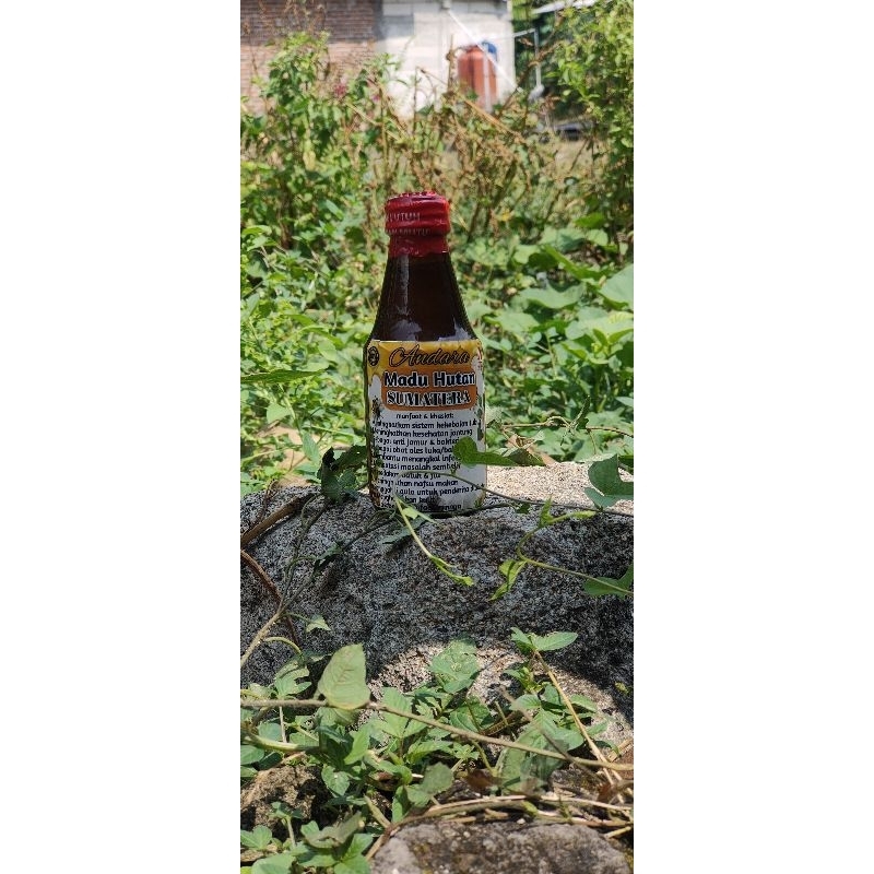 

MADU HUTAN SUMATRA /MADU ASLI /MADU MURNI 200gr