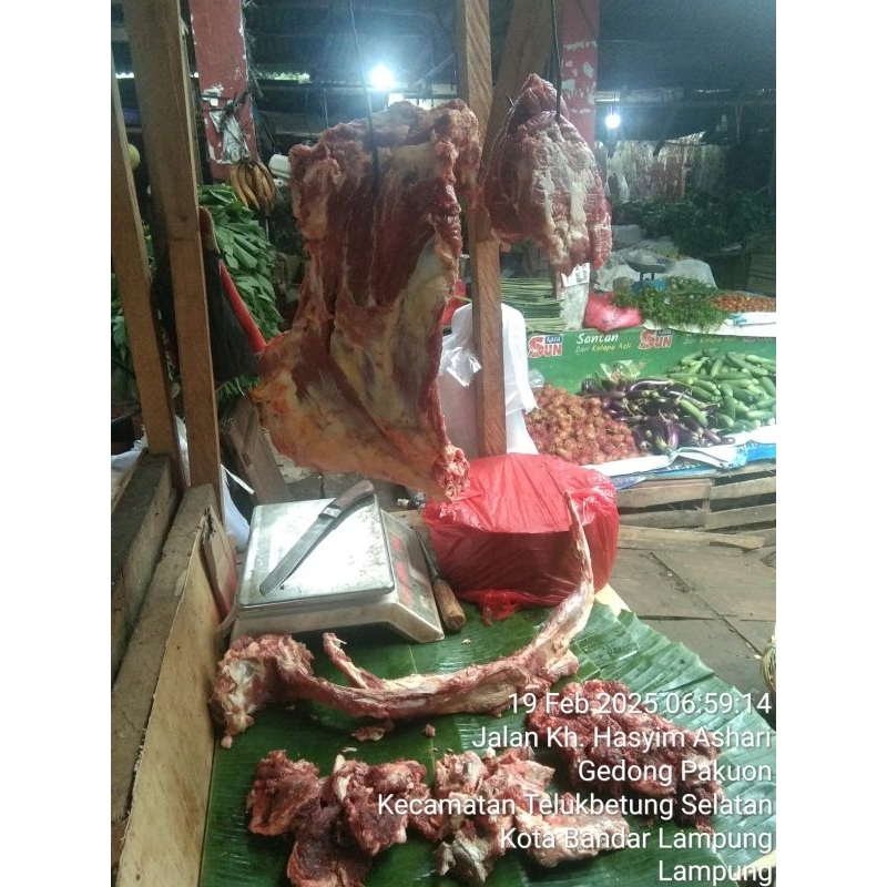 

Tulang sop (IGA dan neckbone)