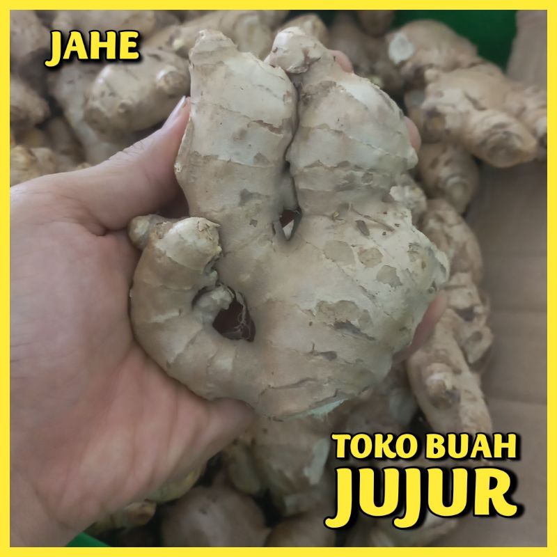 

JAHE 100Gr