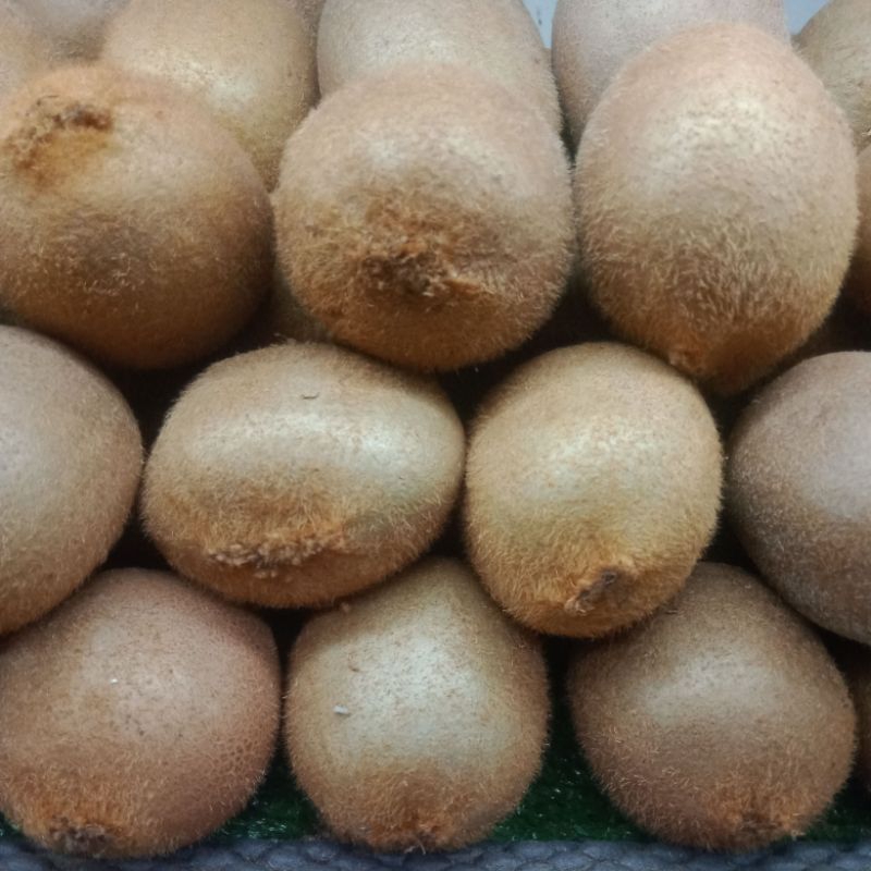 

Kiwi Green RRC 1Kg (±9 Buah) /Kiwi Hijau /Manis Segar