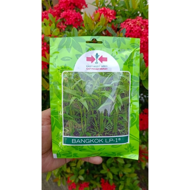 Benih kangkung cap panah merah