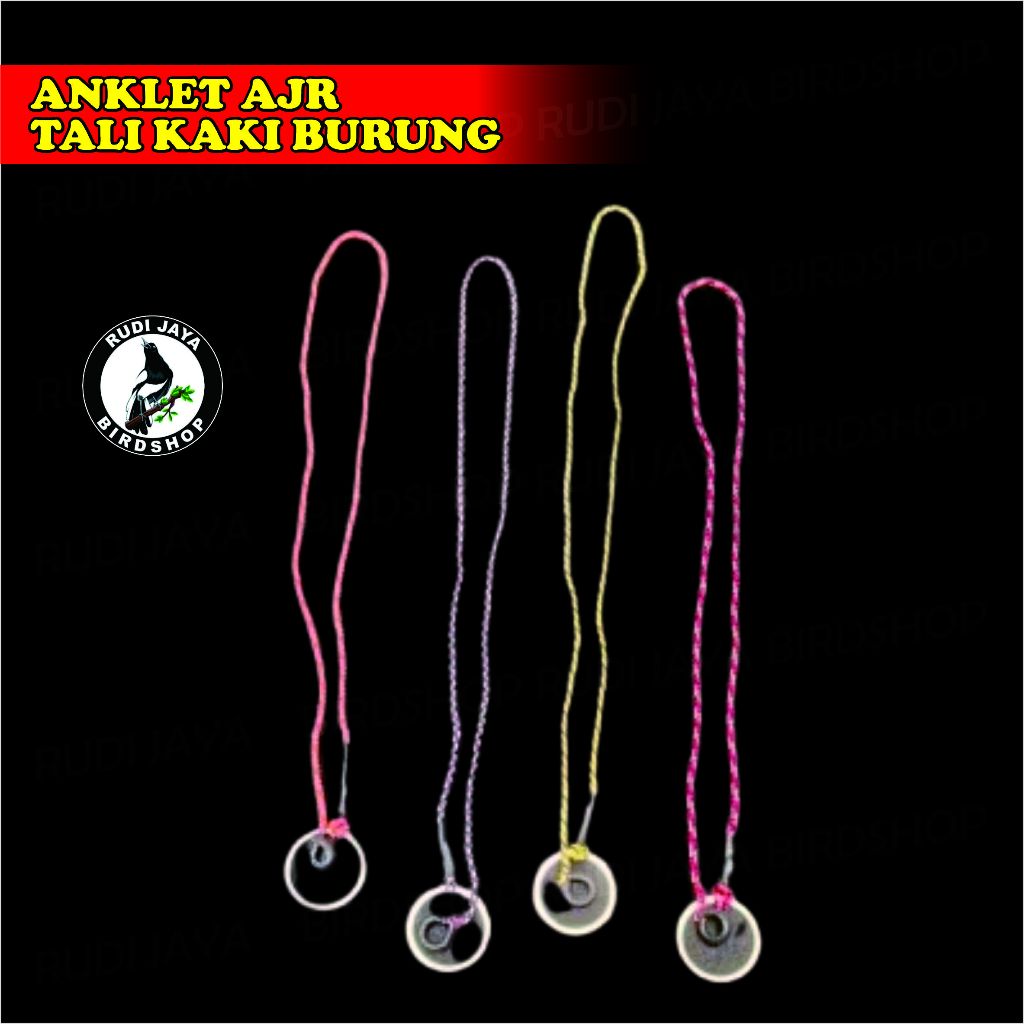 ANGLET ANKLET TALI KAKI BURUNG TALI PENJINAKAN BURUNG LIAR BURUNG BURUNG DERKUKU KUTILANG LOVEBIRD