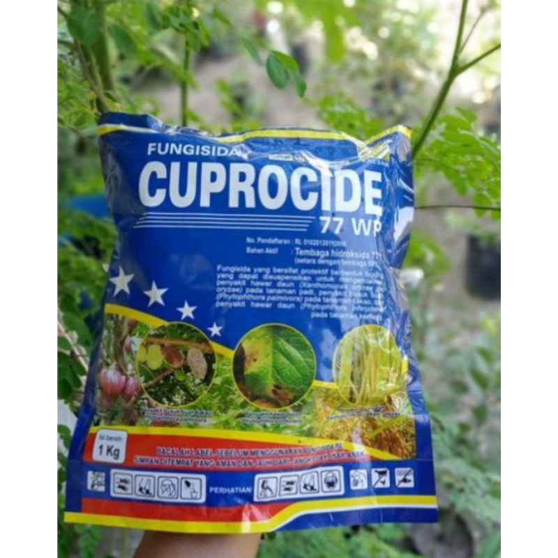 Cuprocide 77wp 1kg