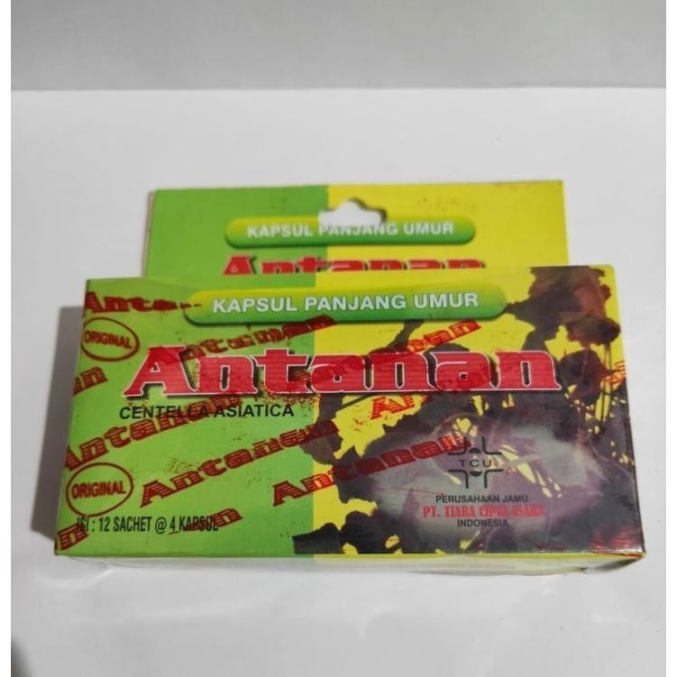 

antaanannn panjang umuarr kapsul