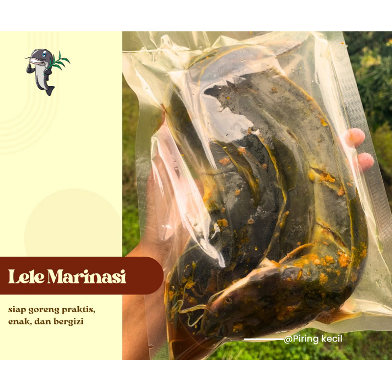 

Lele Marinasi / lele siap goreng / lauk anak / prohew mpasi/lauk froozen