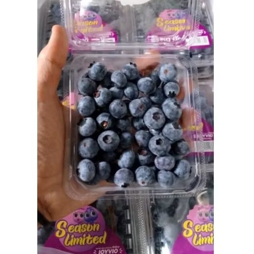

Blueberry Isi 12