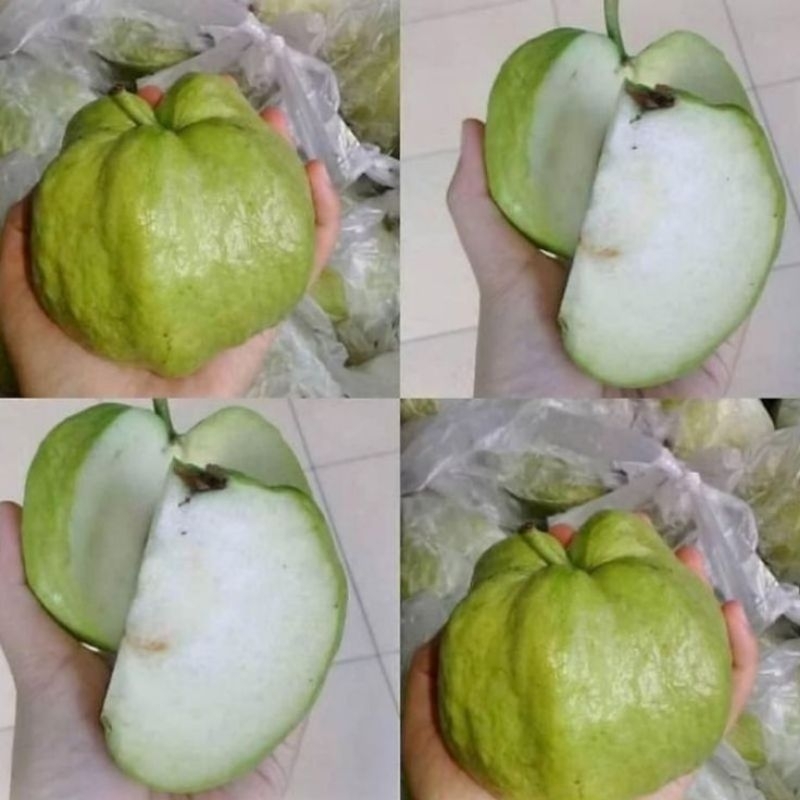 

jambu kristal paket 1kg