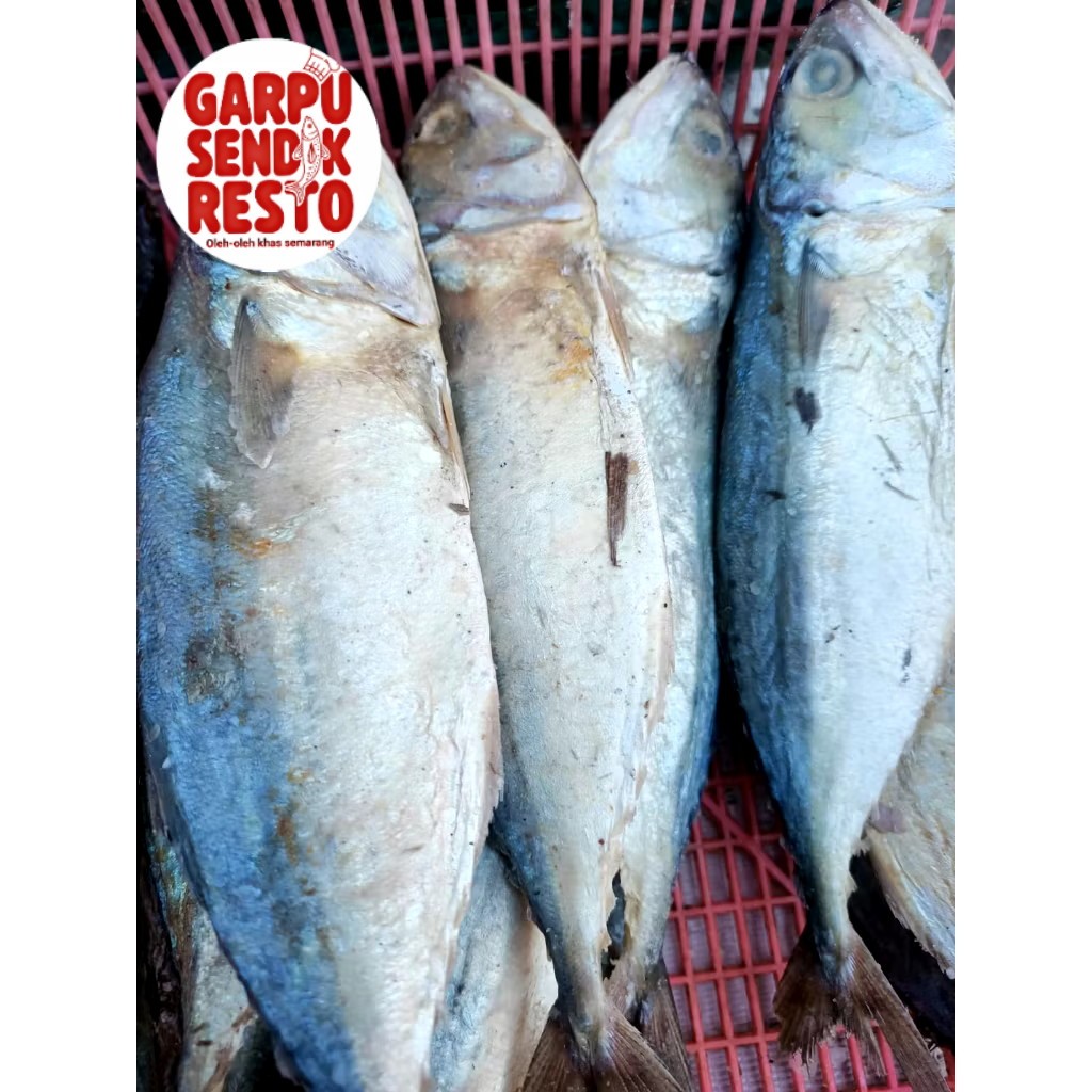 

Ikan Asin Peda / BESAR