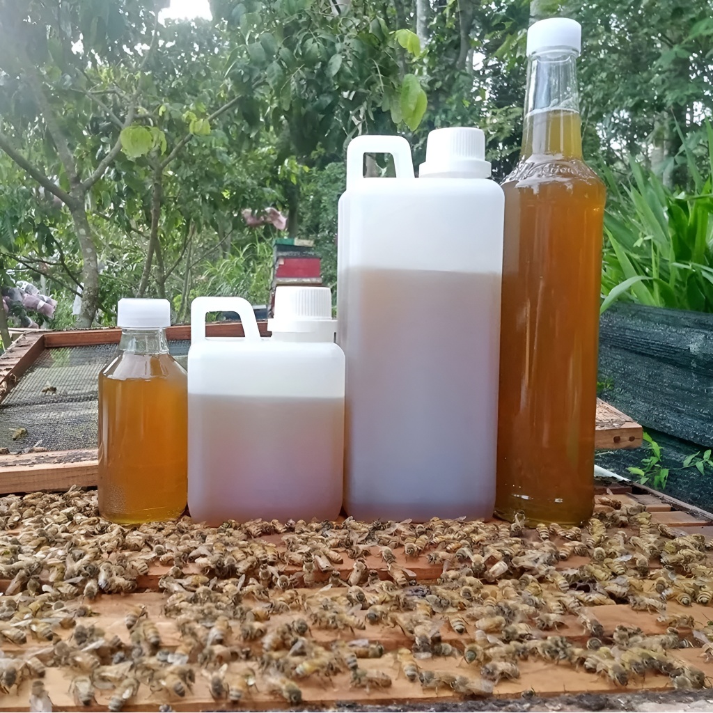 

Madu Asli 100% Tanpa Campuran Murni 1 Kg , Dijamin Langsung dari Peternak