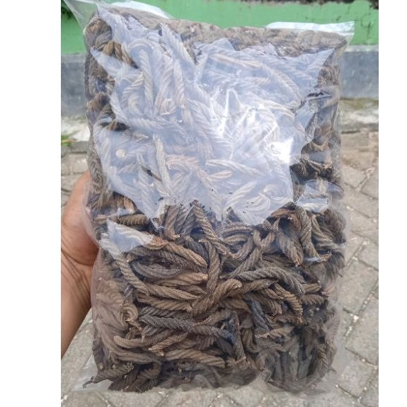 

[ 1KG ] CABE ULES KERING / KAYU ULES / PUTERAN 100% Original - kemasan kiloan