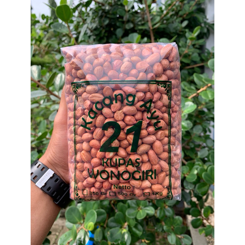 

(Besar) Kacang tanah mentah super premium termurah 8 mili
