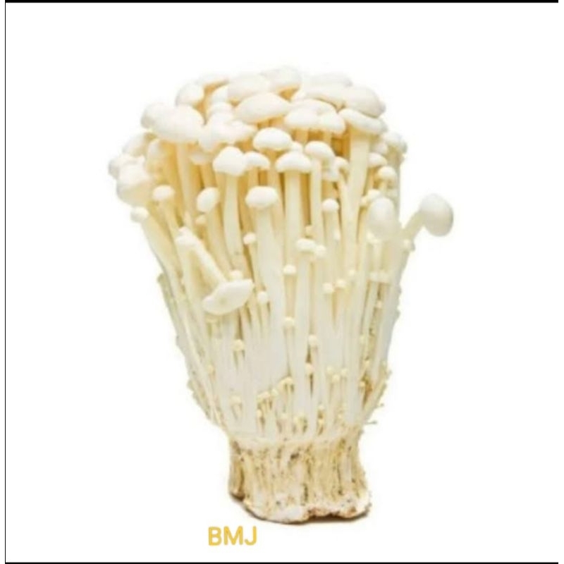 

Jamur Enoki @100gram