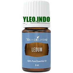 LEDUM 5ML ESSENTIAL OIL