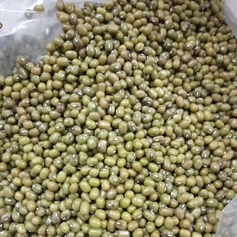 

Kacang ijo Ausi
