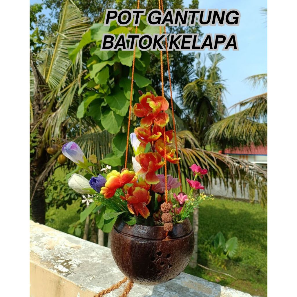 Pot batok kelapa gantung - pot batok kelapa TERMURAH