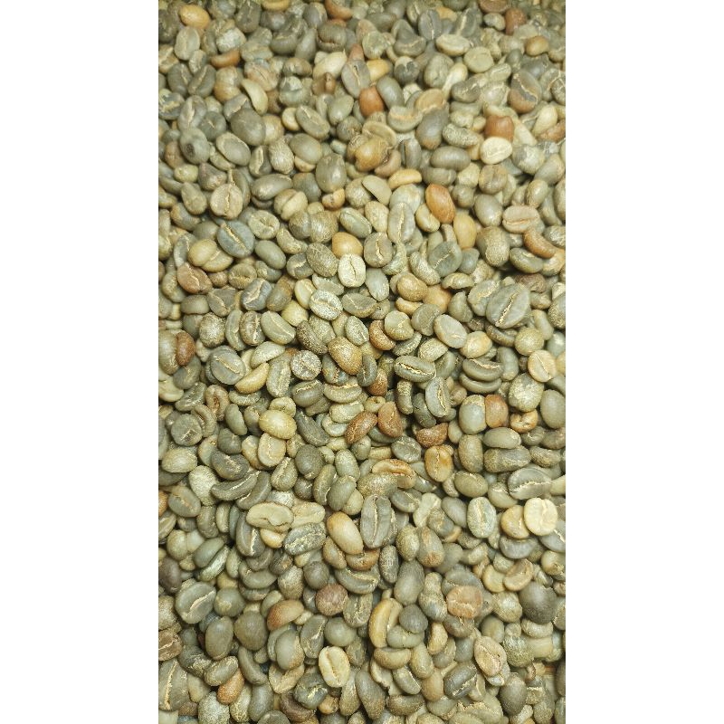 

Biji Kopi Arabica Arabika Green Bean Mentah Malabar Natural Anaerob / Funky / Hermetically Sealed Process Specialty Grade