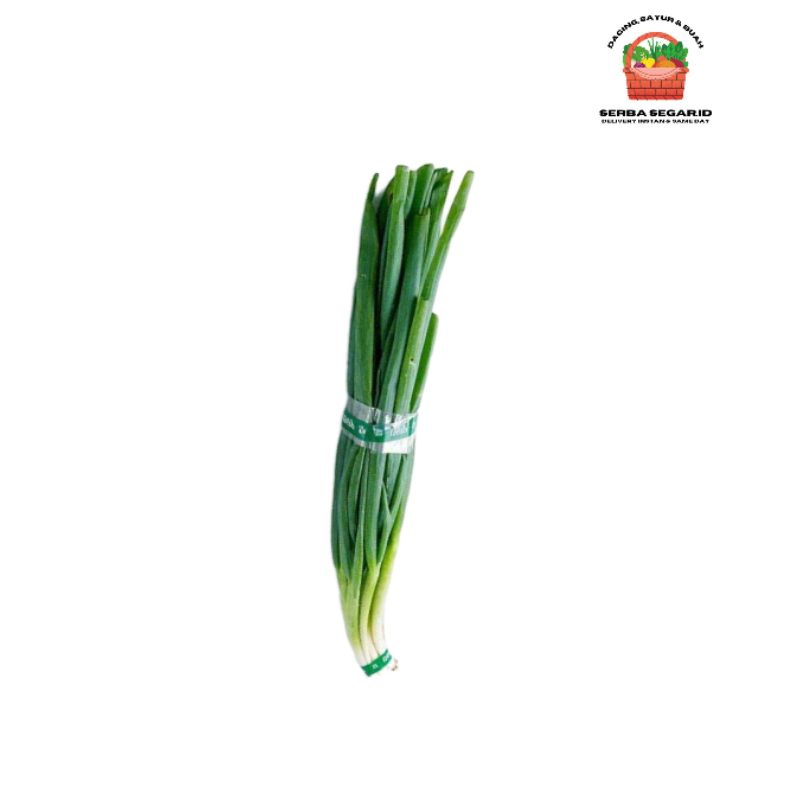 

Daun Bawang 1 Ikat