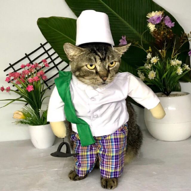 ady78 Terlaris Baju Kucing Viral Kostum Karakter Pak Haji + Sandal