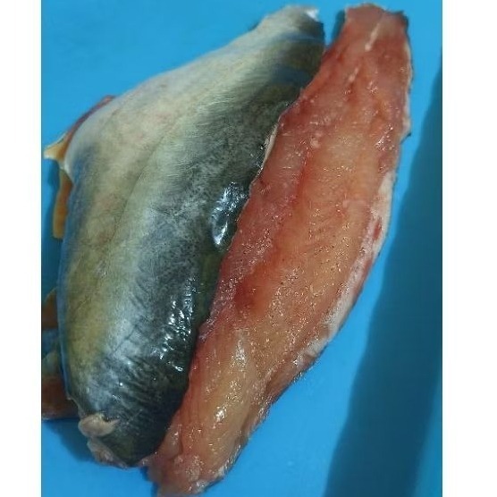 

INSTAN PATIN FILET fresh bukan frozen