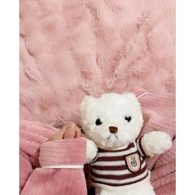 boneka beruang kecil