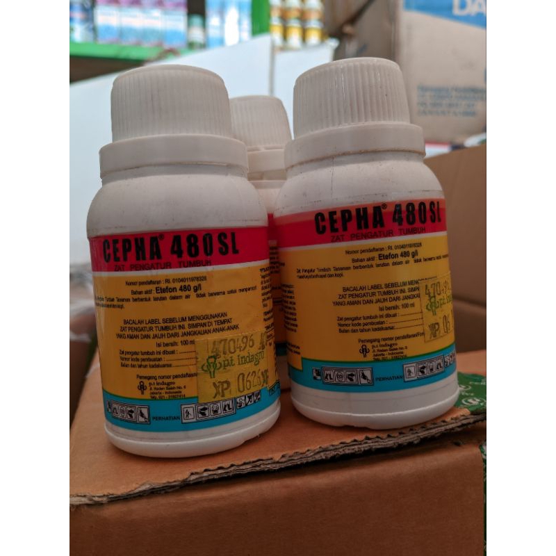 cepha 480sl 100ml