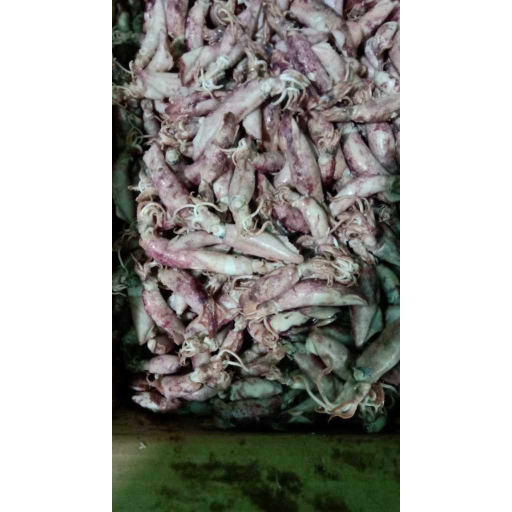 

cumi asin /sotong rebus,ikan asin jambal,teri medan,teri jenqi,ikan asin kapasan