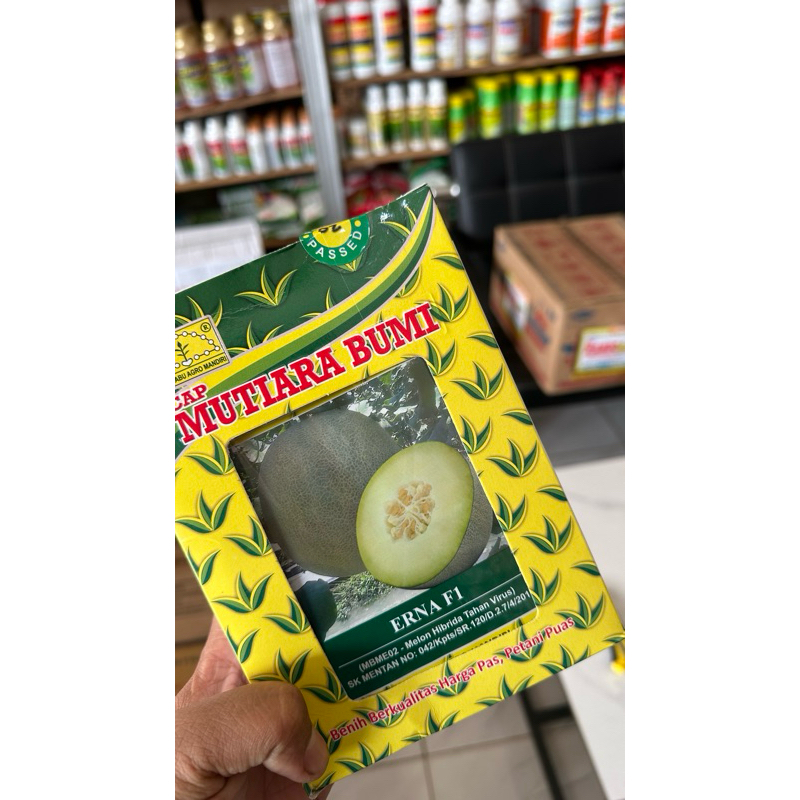 BENIH MELON ERNA F1 mutiara bumi 15 gr