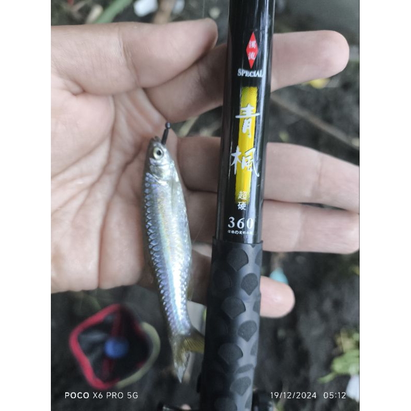 Fl Special kolong 360