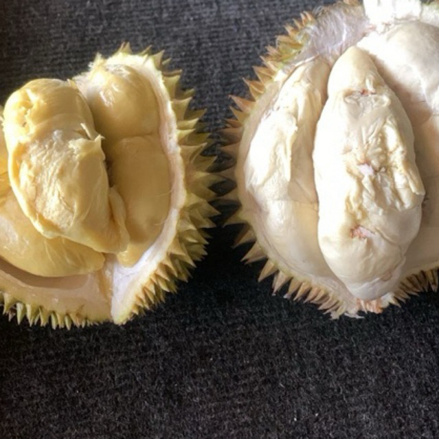 

Durian Murah Nikmat