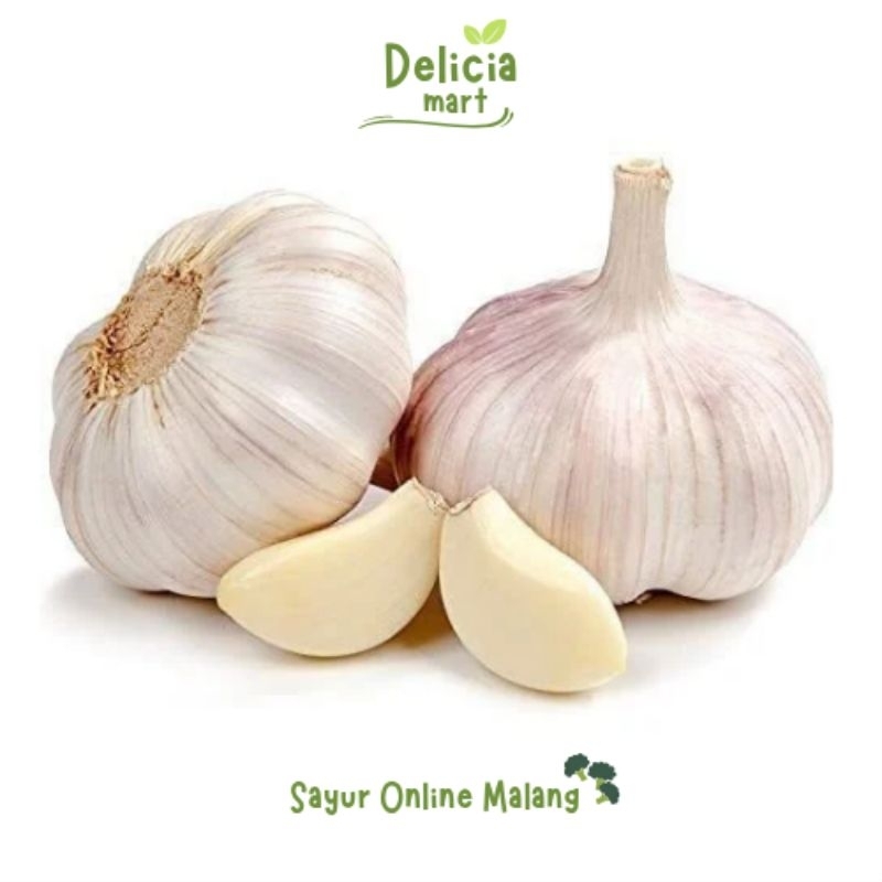 

bawang putih segar berkualitas 100 gram