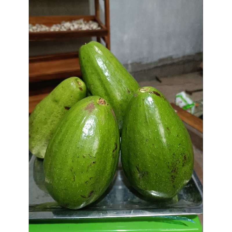 

Alpukat Aligator Jumbo sekilo isi 2,3