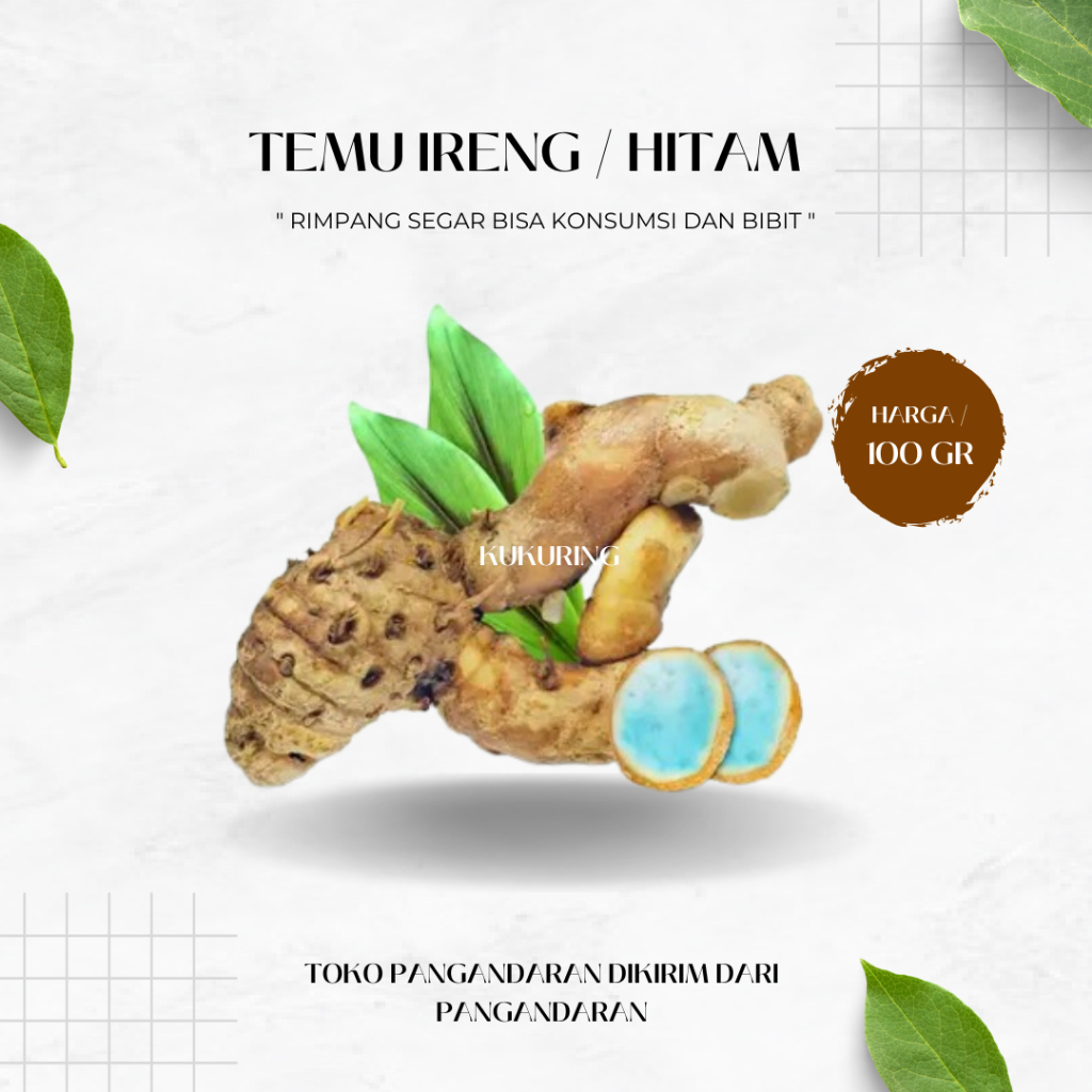 

Temu Hitam Temu Ireng Segar