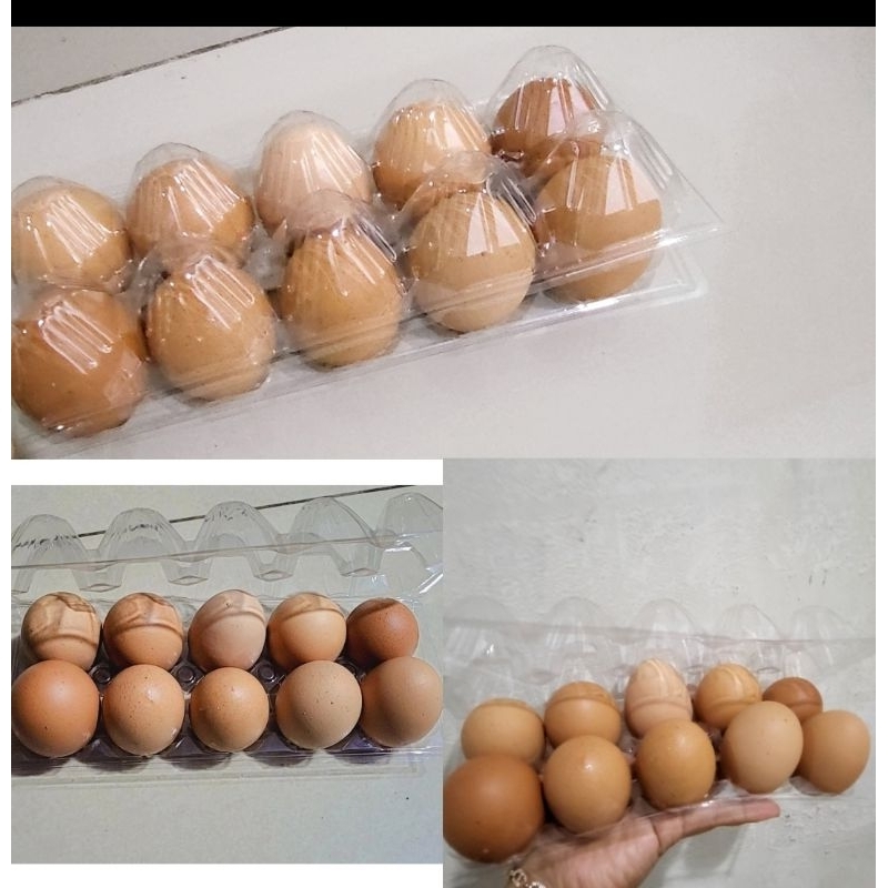 

TELUR AYAM NEGRI isi 10 pcs