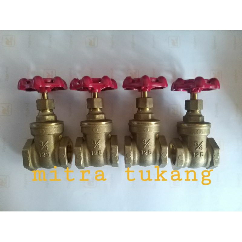 gate valve kitz 3/4 inch