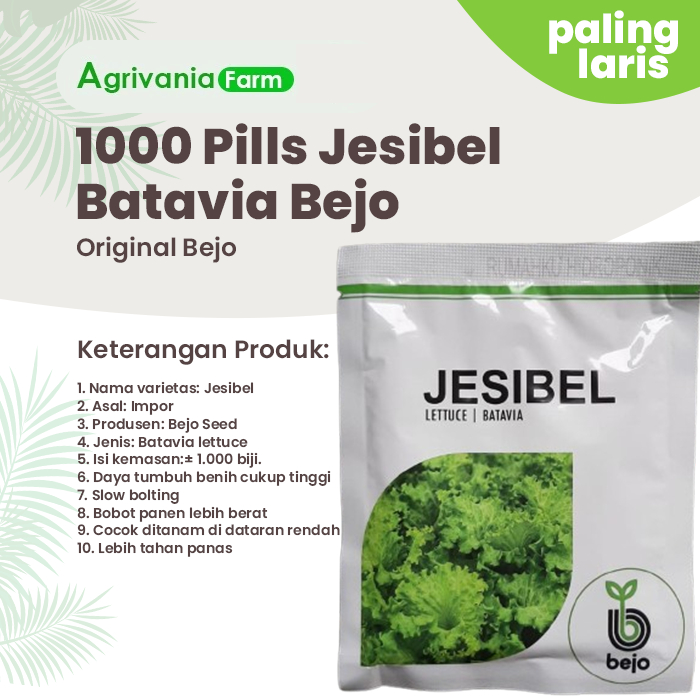 Benih Jesibel 1000 pills | Bejo | Selada | Bibit Hidroponik jesibel lettuce