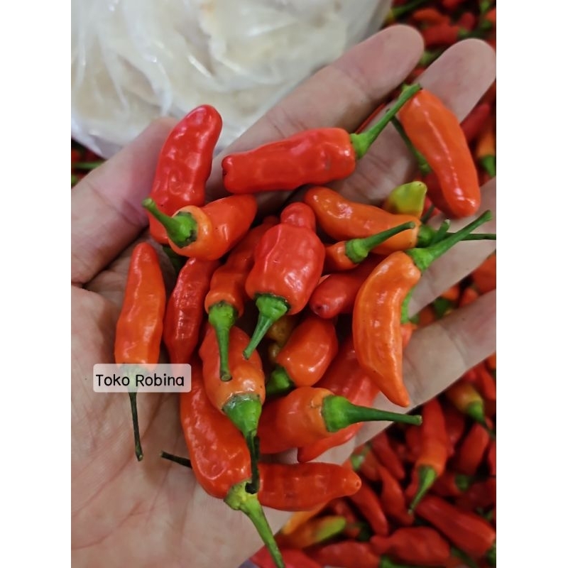 

Cabai Rawit Merah Cengek Segar 200 gr
