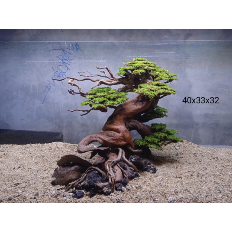 Hardscape Bonsai Aquascape Special Tank Up to 100cm