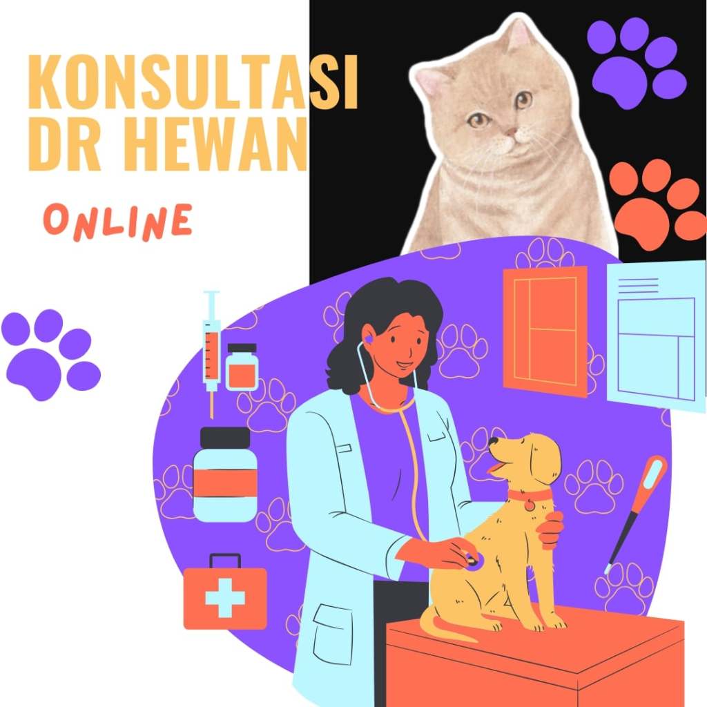 Layanan Konsultasi Online Dengan Dokter Hewan
