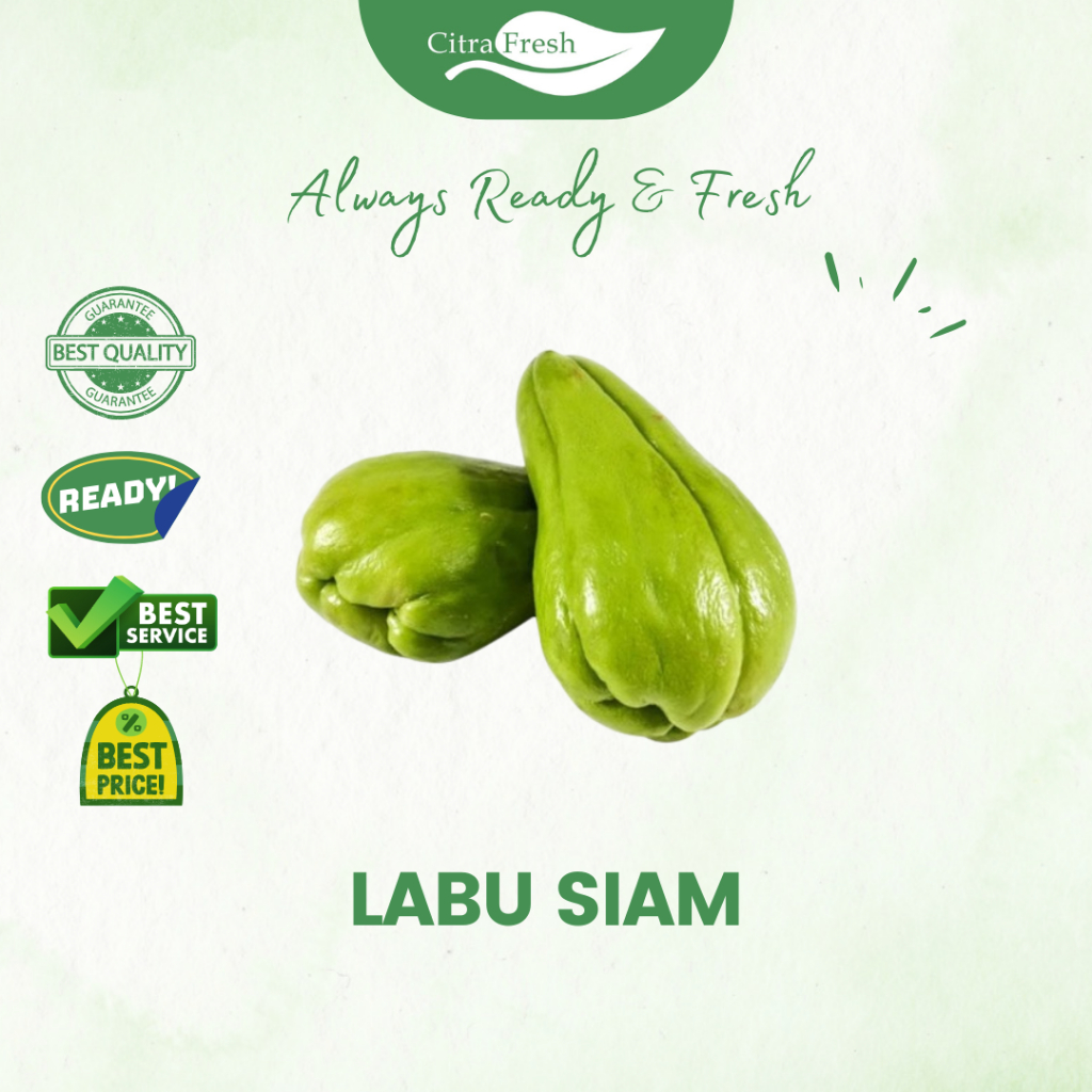 

CITRA FRESH Labu Siam 200 - 300 gram - Selalu Ready dan Fresh