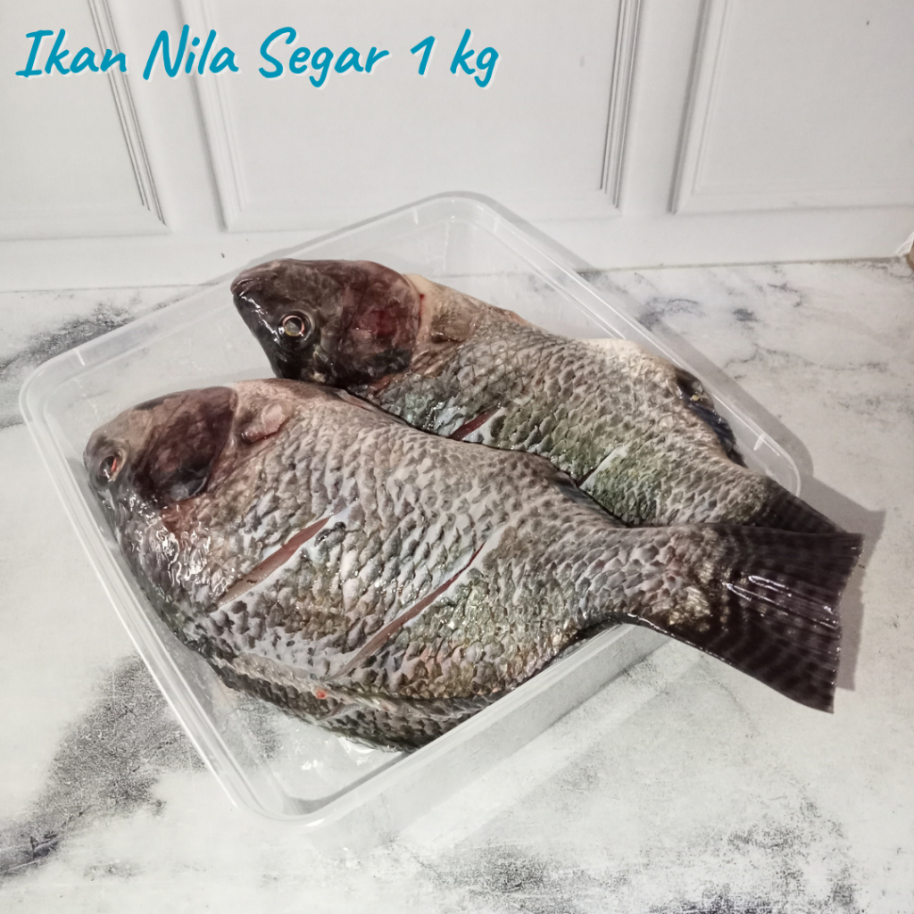 

Ikan Nila Segar 1 kg