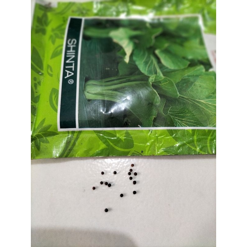 50BIJI BENIH/BIBIT SAYUR HIJAU/CAISIM/SAWI MANIS CAP PANAH MERAH