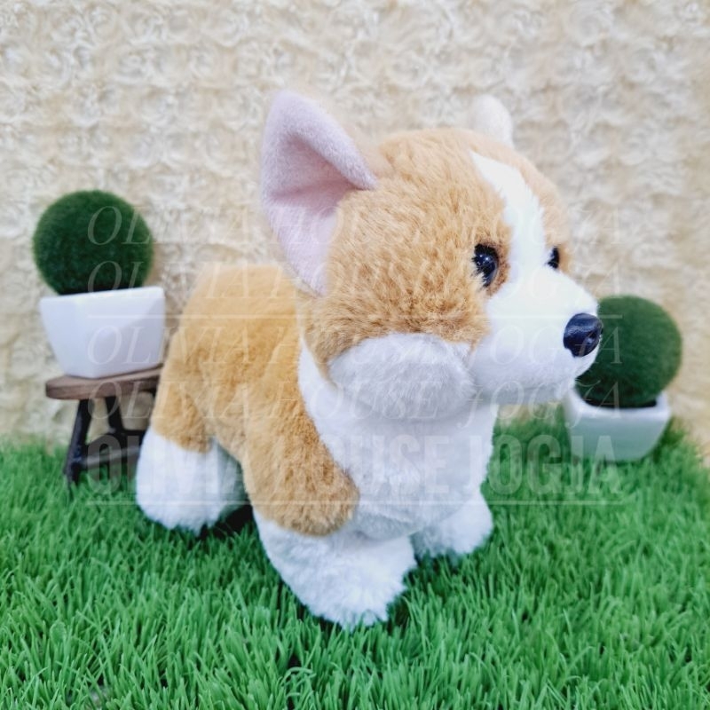 Boneka Corgi Mata Keras Boneka Doggy Corgi Coklat Putih Boneka Anjing Corgi