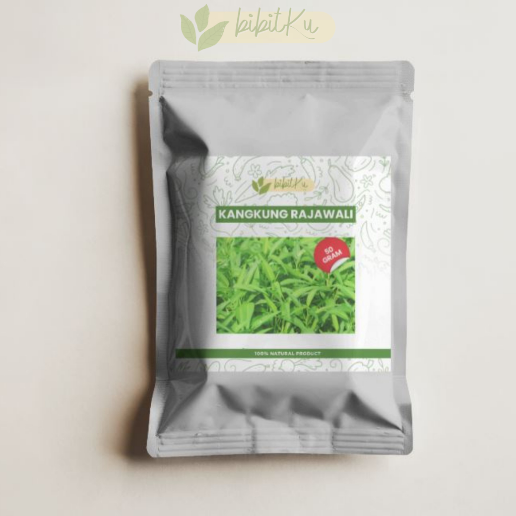 BENIH/BIBIT KANGKUNG RAJAWALI KANGKUNG HIDROPONIK