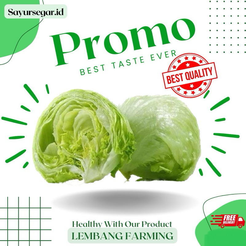 

PROMO!!! lettuce head/ selada lettuce segar konvensional