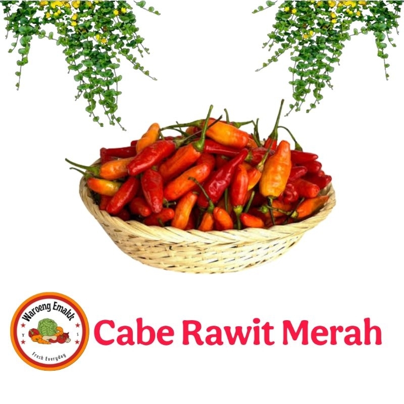 

CABE RAWIT MERAH PAKET MURAH MERIAH