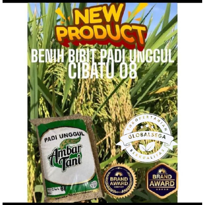 BIBIT PADI BENIH PADI UNGGUL CIBATU 08 ORIGINAL KEMASAN 5KG