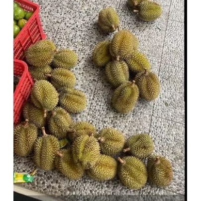 

durian duren