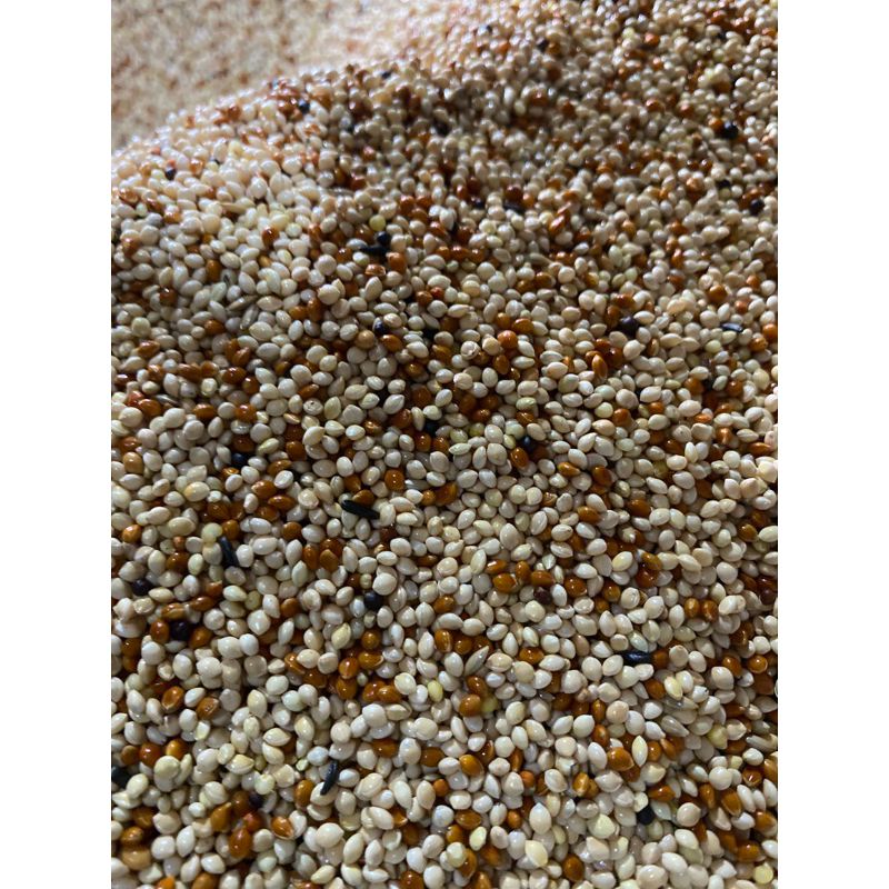 

omai Milet putih campur 1kg mixeed Kamari seed bebas debu