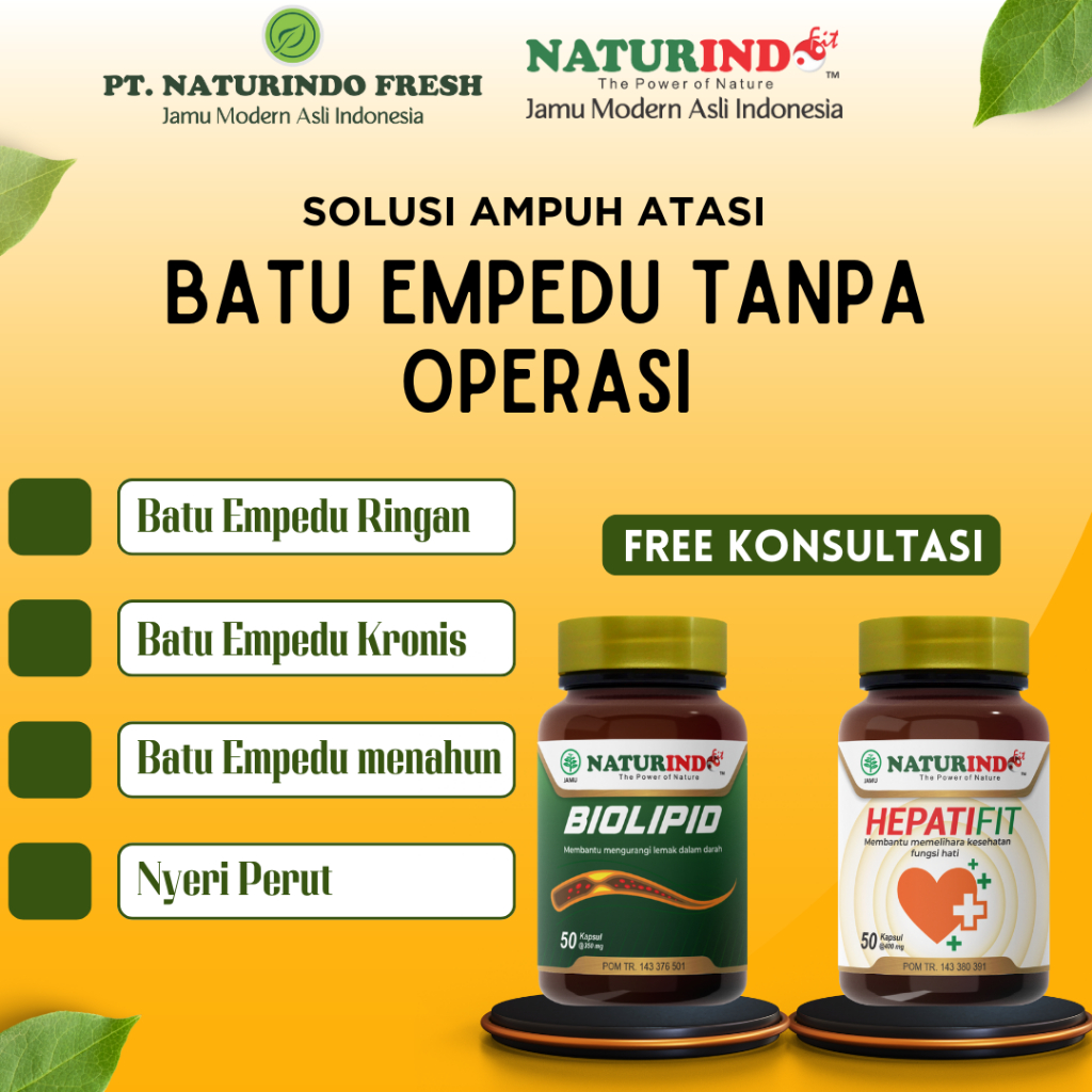 Obat Herbal Penghancur Batu Empedu Biolipid Batu Empedu Tanpa Operasi
