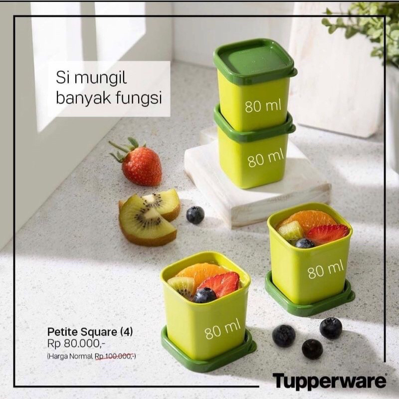 Petite Square Set Tupperware